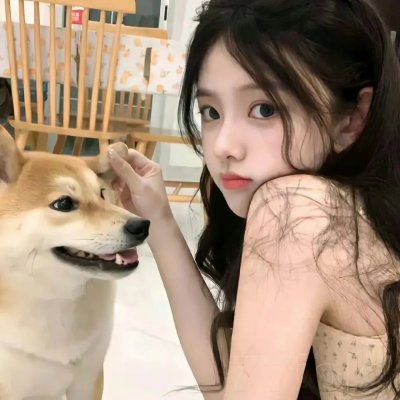 13朵玫瑰